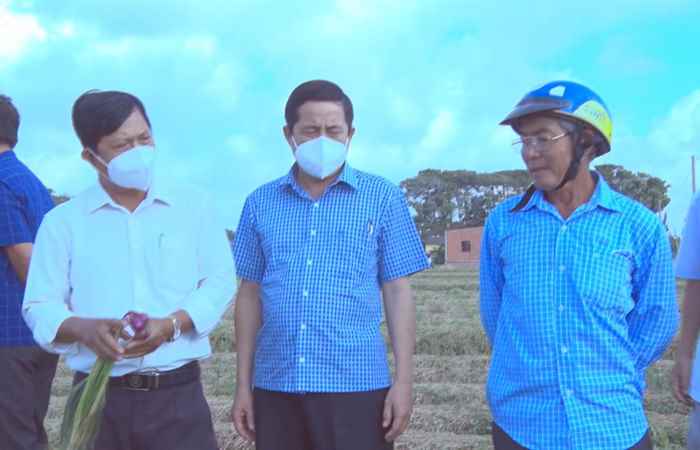 Bí thư Thị ủy Vĩnh Châu khảo sát vùng trồng hành tím 